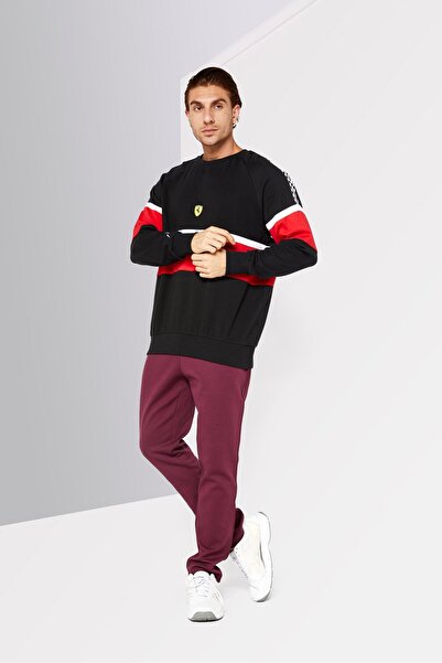 Puma Men Sportswear Fit Long Sleeve Running Sweatshirt, Multicolor