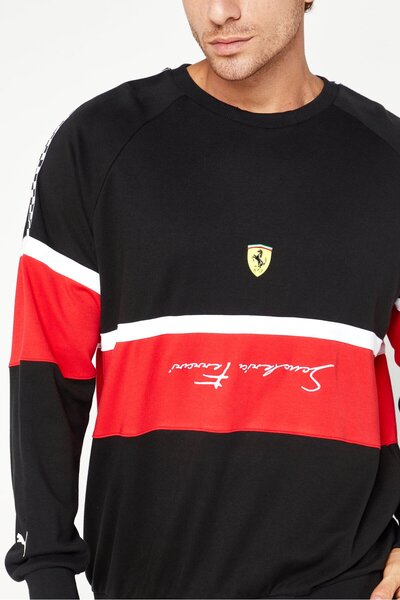 Puma Men Sportswear Fit Long Sleeve Running Sweatshirt, Multicolor