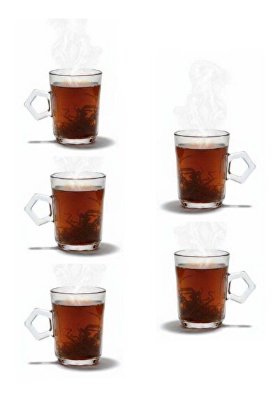 Premium Glass Tea Cup with Unique Hexagonal Handle – Set of 5