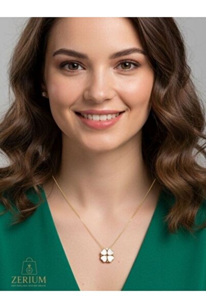 ZERİUM Gizli Kalplerin Sırrı – Mıknatıslı Açılır Çelik Yonca Kolye