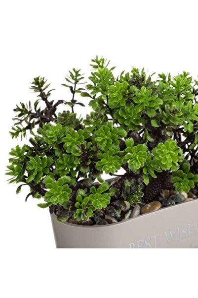 ANTBRO Taupe Bonsai Pot 15×7×17 cm – Ceramic Vase with Artificial Bonsai & 'Best Wishes'