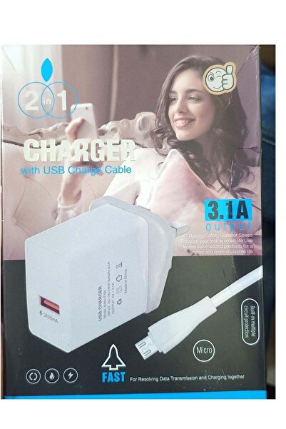 Energi 2in1 SMART 3.1 Charger
