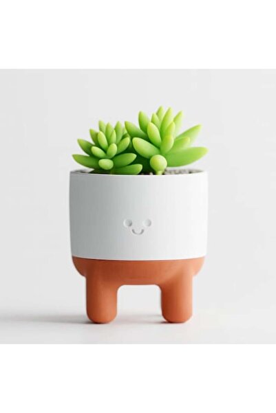 OEM Ghiveci cu tava scurgere, design Smiley Face, diametru 12cm, plastic, pentru plante interioare