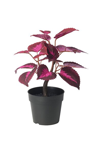 IKEA FEJKA Artificial potted plant, in/outdoor Painted nettle/red, 9 cm