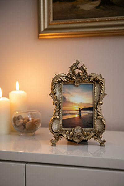 Hanlar Home Stylish Classic Gift Baroque Frame Mink Color