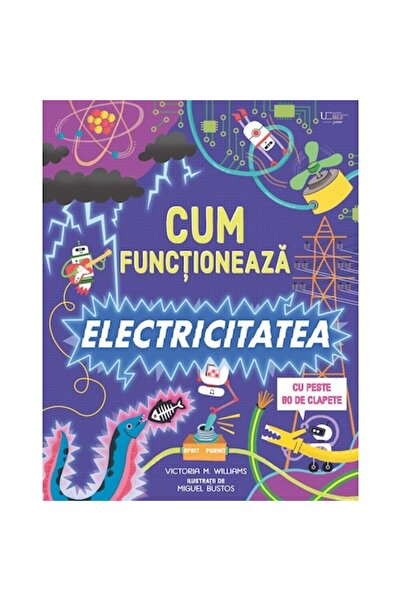 Univers Enciclopedic Junior How Electricity Works — Lift-the-Flap Book (Usborne Books)