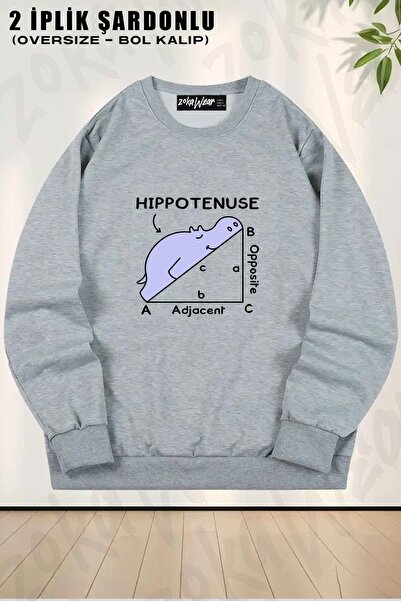 ZOKAWEAR سويت شيرت للجنسين من Hippotenuse Math Pun مطبوع قصة فضفاضة برقبة دائرية