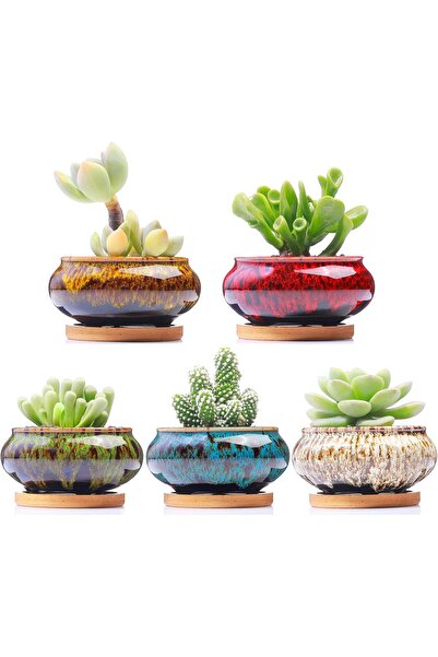 genernic LAMDAWN Cute Ceramic Succulent Garden Pots, Planter with Drainage, Set of 5 (Burner)