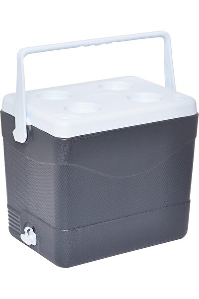 Cosmoplast صندوق تبريد بلاستيكي لحفظ الطعام البارد للنزهات سعة 24 لترًا