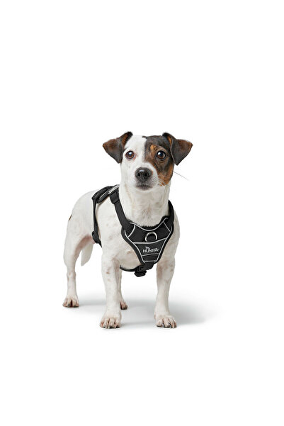Hunter Dog Harness DIVO UP Black M