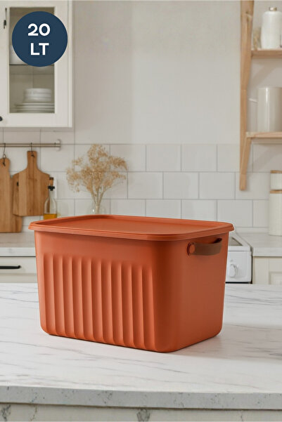 HOMİNG Nordic Style Multi-Purpose Large Size Organizer Box with Lid 20 Lt