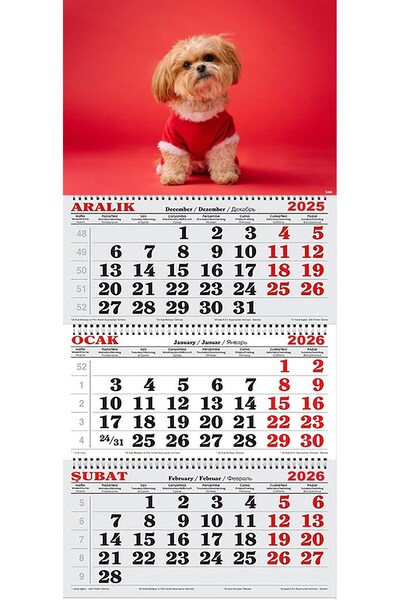 GENC DIJITAL BASKI 2026 Yılı Gemici Takvimi- Noel Kıyafetli Shih Tzu
