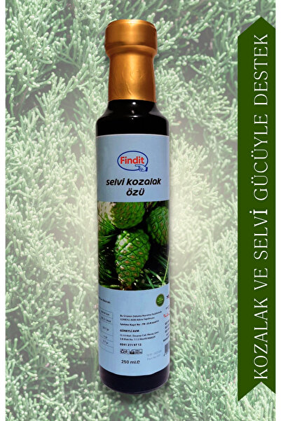 Findit Selvi Kozalak Özü | Doğal Bitkisel Destek ve Güçlü Antioksidan Kaynağı