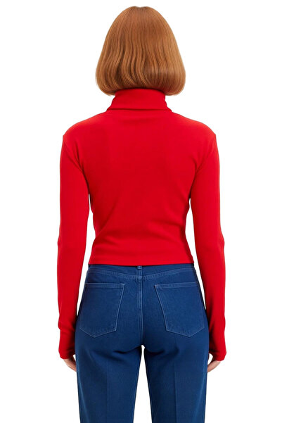 PayBuy Women's Fitted Turtleneck Long Sleeve Crop Knitted Blouse Cool & Comfort Persona Ideal for Winter Season