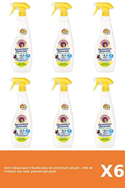 Chanteclair Set of 6 Chanteclair Degreaser, 6x universal Lemon, 600 ml