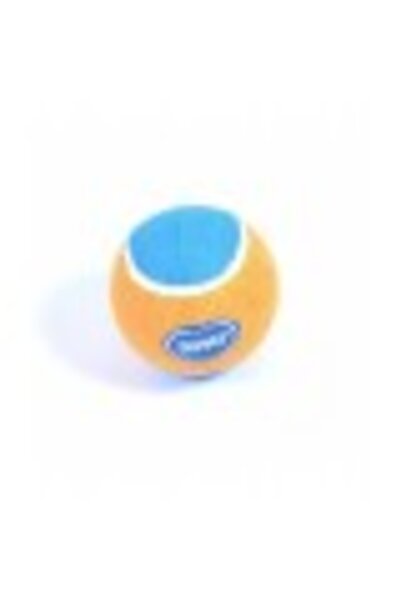 Duvo Plus Pet Toy Tennisball for Dog (1 PCS)