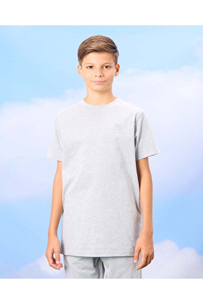 REDTAG Senior Boys Grey And Navy Solid T-Shirt Set (2 Piece)