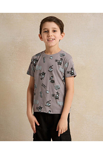 REDTAG Boys Grey Printed T-Shirt