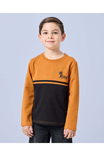 REDTAG Boys Mustard Cut And Sew T-Shirt