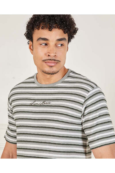 REDTAG Men Grey Striped T-Shirt