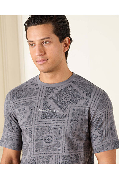 REDTAG Men Grey Graphic T-Shirt