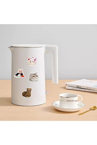 BSRE Sticker Set (Crazy Cats MacBook Notebook Tablet Phone Agenda Laptop Notebook)