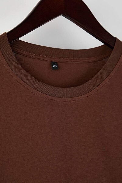 Trendyol Curve Brown 100% Cotton Long Sleeve Crew Neck Regular Basic Knitted Plus Size T-Shirt Tbbaw26Bf00000