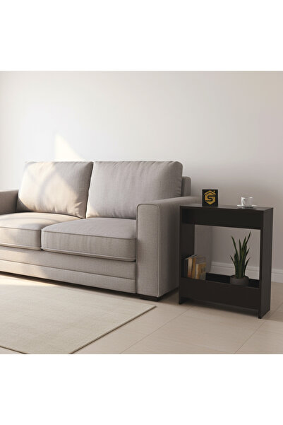 Stylish Home Side table with magazine rack for living room and office - Entryway table - mzct01s