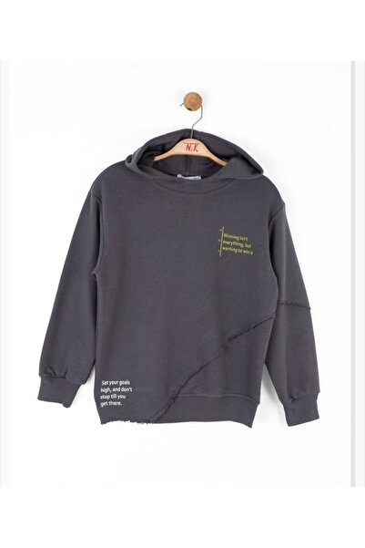 nk kids Boy's Hooded Washable Brushed Fabric Back Printed Sweatshirt