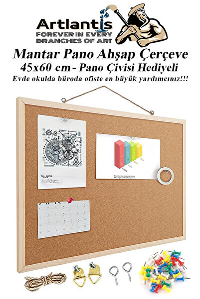 Artlantis Mantar Pano Ahşap Çerçeve 45x60 cm 1 Adet Harita Çivisi Hediyeli Duvara Monte Mantar Çerçeve Evde Ok