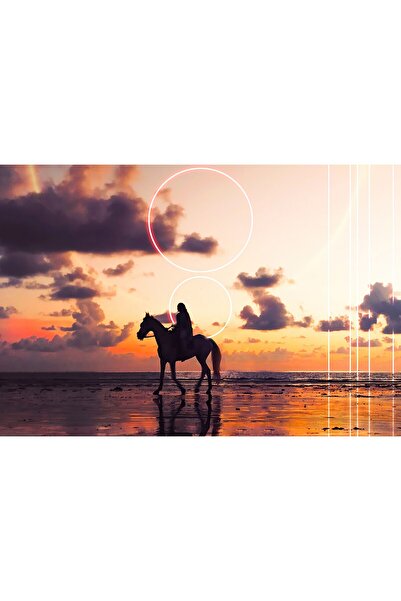 OEM Posterul Voyager, 61x90cm, poster1506, Zumzeria