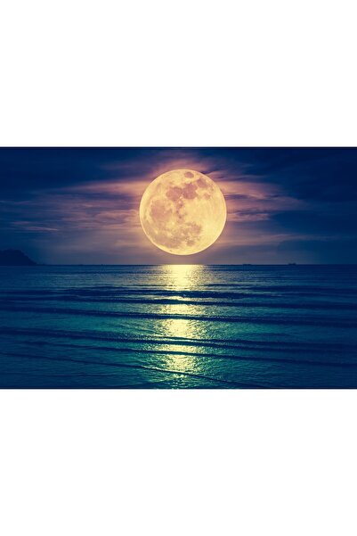 Zumzeria Tablou Canvas Reflexie magică a lunii pline peste apă, 80x50cm, tabl...