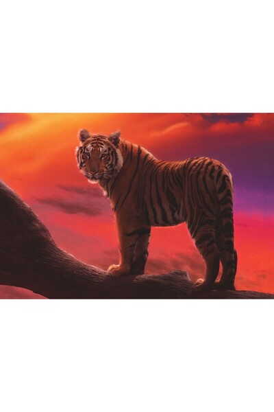 OEM Posterul Tigru Visul de chihlimbar, 61x90cm, poster2139, Zumzeria