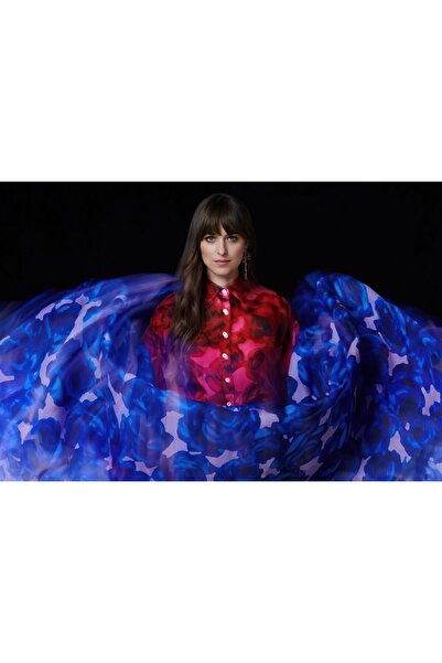 OEM Posterul Dakota Johnson pentru Town and Country, 61x90cm, poster2310, Zum...