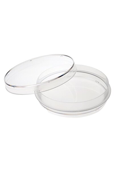 QLP Cam Petri Kabı Kutusu 120x20 mm