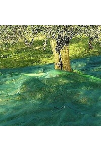 olio Hasat (Zeytin, Dut, Kayısı) Toplama Filesi 6x5 m