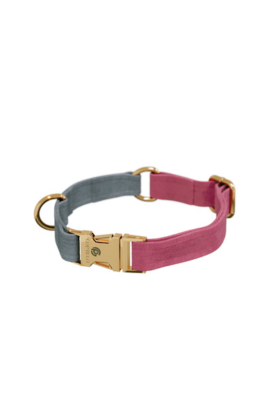 GoPawGo Supreme Kedi Boyun Tasma Seti