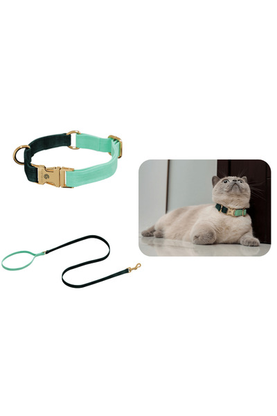 GoPawGo Charmlı Shelby Kedi Boyun Tasma Seti