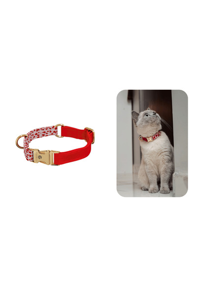 GoPawGo Charmlı Valentine Kedi Boyun Tasması
