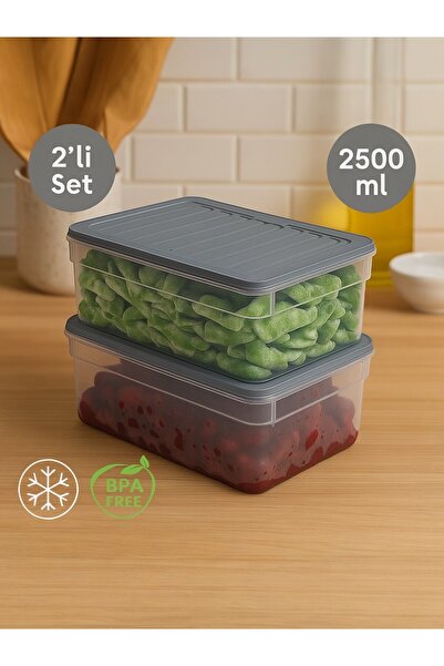 Nesto Home 2500 ml Deep Refrigerator - Set of 2 Organizer, Freezer and Microwave Storage Container 2X2500