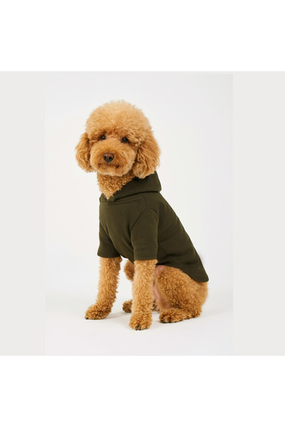 Buddy Store ملابس للقطط والكلاب، ملابس للعرق - بدون طباعة باللون الأخضر الكاكي