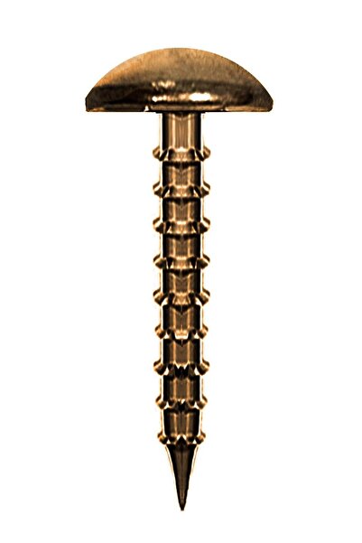 hapshoe Antik Renk 30 Adet Kabara Dekoratif Çivisi