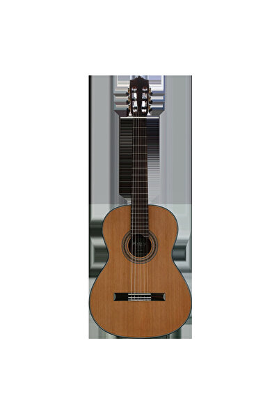 MARTINEZ MC-58C CE Elektro Klasik Gitar