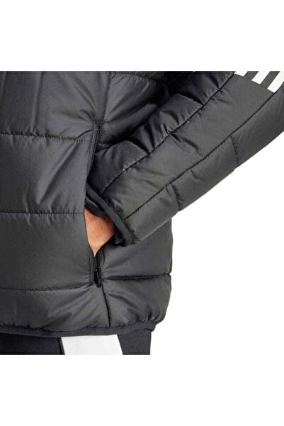 adidas Erkek Mont TIRO24 WINT JKT IJ7388