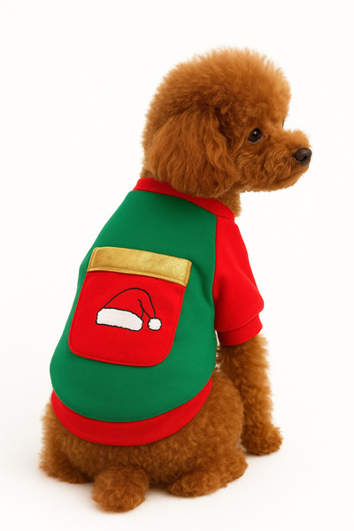 PetiliDünya Christmas Outfit with Pouch - for New Year's Cat and Dogs