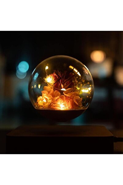 Generic Real Floating Flowers with LED Light - Rose, Touch Control, Magnetic Levitation
