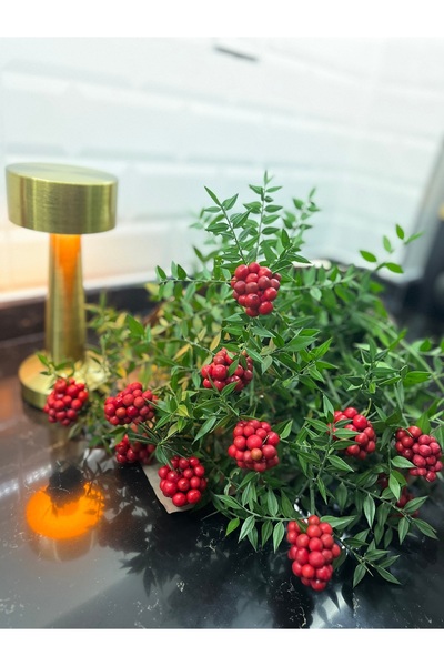 greendeco Kokina çiçeği (1 demet 15 Dal) yılbaşı çiçeği - şans çiçeği