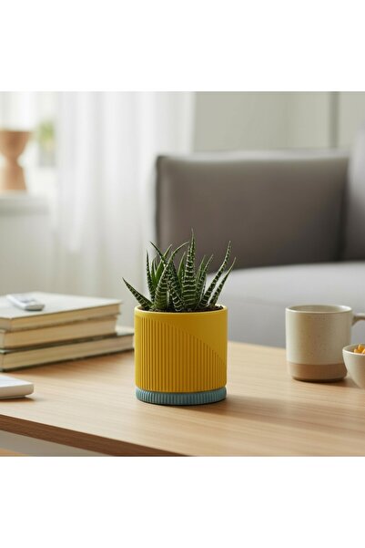 DECOROMA Modern Tasarım Dekoratif Saksı - Pastel Serisi