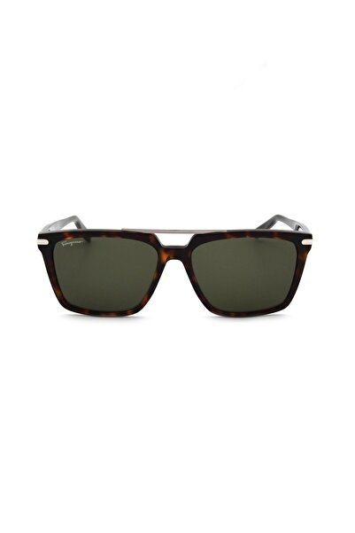 Salvatore Ferragamo Sf 1037S C240 ​​Men's Sunglasses