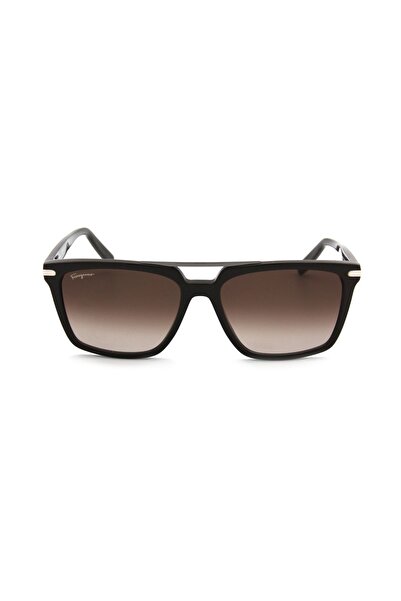 Salvatore Ferragamo Sf 1037S C208 Men's Sunglasses